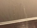 Power Pissing All Over My Hallway Walls and Floor
