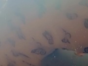 Pretty dress and tittie peep show