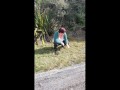 Trashy Kiwi MILF pisses on roadside with oncoming traffic
