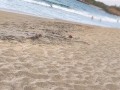Stranger Fucks Me on a Nude Beach After I Blow Him — Real Voyeur Caught Jerking Off Watching Us