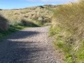 Public NZ beachwalk JOI with edging and ruined orgasm