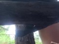 Cum-Dripping Pussy Peeing on a Log in the Forest