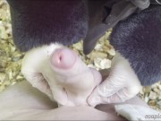 I CUM on LEAVES – LATEX HANDJOB in the FOREST with my BEST FRIEND 💦🍂