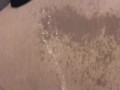 Pissing on my Bedroom Carpet in the Middle of the Night