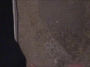 Pissing on my Bedroom Carpet in the Middle of the Night