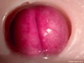CLOSE UP CAMERA IN PUSSY: CUM Inside PUSSY TWICE! BEST CREAMPIE in 4K with Girl Moaning!