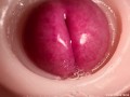 CLOSE UP CAMERA IN PUSSY: CUM Inside PUSSY TWICE! BEST CREAMPIE in 4K with Girl Moaning!