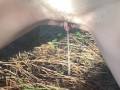 Desperate Outdoor Slut Lets Out A Long Loud Piss In The Middle Of The Forest