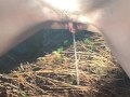 Desperate Outdoor Slut Lets Out A Long Loud Piss In The Middle Of The Forest