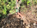 KANTUTAN Vlog muna gawa masisilungan para makapag Kantutan