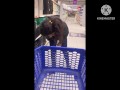 Mostrando las tetas en el supermercado