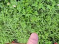Pissing in the sun 🌞 and cumming in the garden 🥒💦 I'm becuming adickted to pee porn!