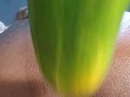 Black Girl Masturbates with Cucumber