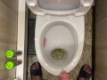 Morning long pissing in the toilet POV