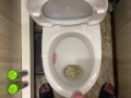 Morning long pissing in the toilet POV
