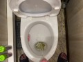 Morning long pissing in the toilet POV