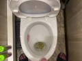 Morning long pissing in the toilet POV