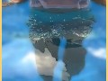Wifey wet shirt in the pool with perfect braless tits