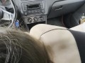 A stunning blowjob from a beautiful woman on a hot summer day