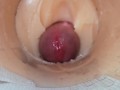 Camera deep inside tight pussy captures huge cum explosion