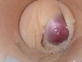 Camera deep inside tight pussy captures huge cum explosion