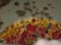 PIZZA-CUM ON FOOD-KINKY FETISH FEMALE MASTURBATION-BEST TEEN AMATEUR-ARABIAN SNOWWHITE-LOS ANGELES G