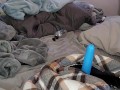 Riding a new fake cock with my precum dripping down vocal cumshot on chest
