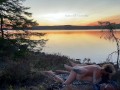 Love at a Lake in the Sunset - RosySky - 4K 30fps