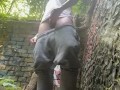 Western heights masturbation in the castle grounds