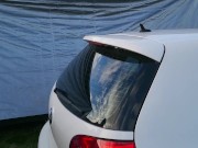 Trashy MILF slut pisses on the grass in front of other campers at the beach