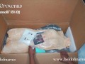 Erovenus Savannah (Tan) Unboxing and Testing My first Silicone Doll