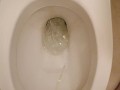 Piss in toilet
