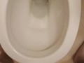 Piss in toilet