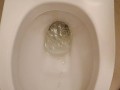 Piss in toilet