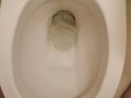 Piss in toilet