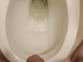 Piss in toilet