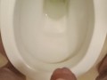 Piss in toilet