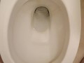 Piss in toilet