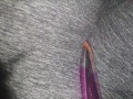 Cumming in Grey yoga pants