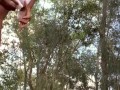Peeing in the woods