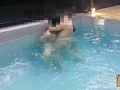 I have sex with my wife in the pool. เย็ดเมียในสระว่ายน้ำ