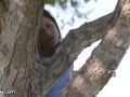 GIRLSWAY Hot Jogger Caught Babes in Woods & Joins for Threesome