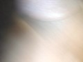 Lots of cum after jerking my big dick