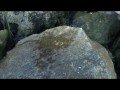 Public Beach Squirt
