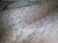 Pussy throbbing after orgasm