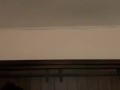 Best Stepsister Creampie