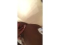 Petite Ebony plays with designer Cucci