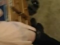 His Hot Wife
