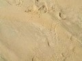 Beach desperation