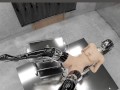 Example for the BDSM VR pictures